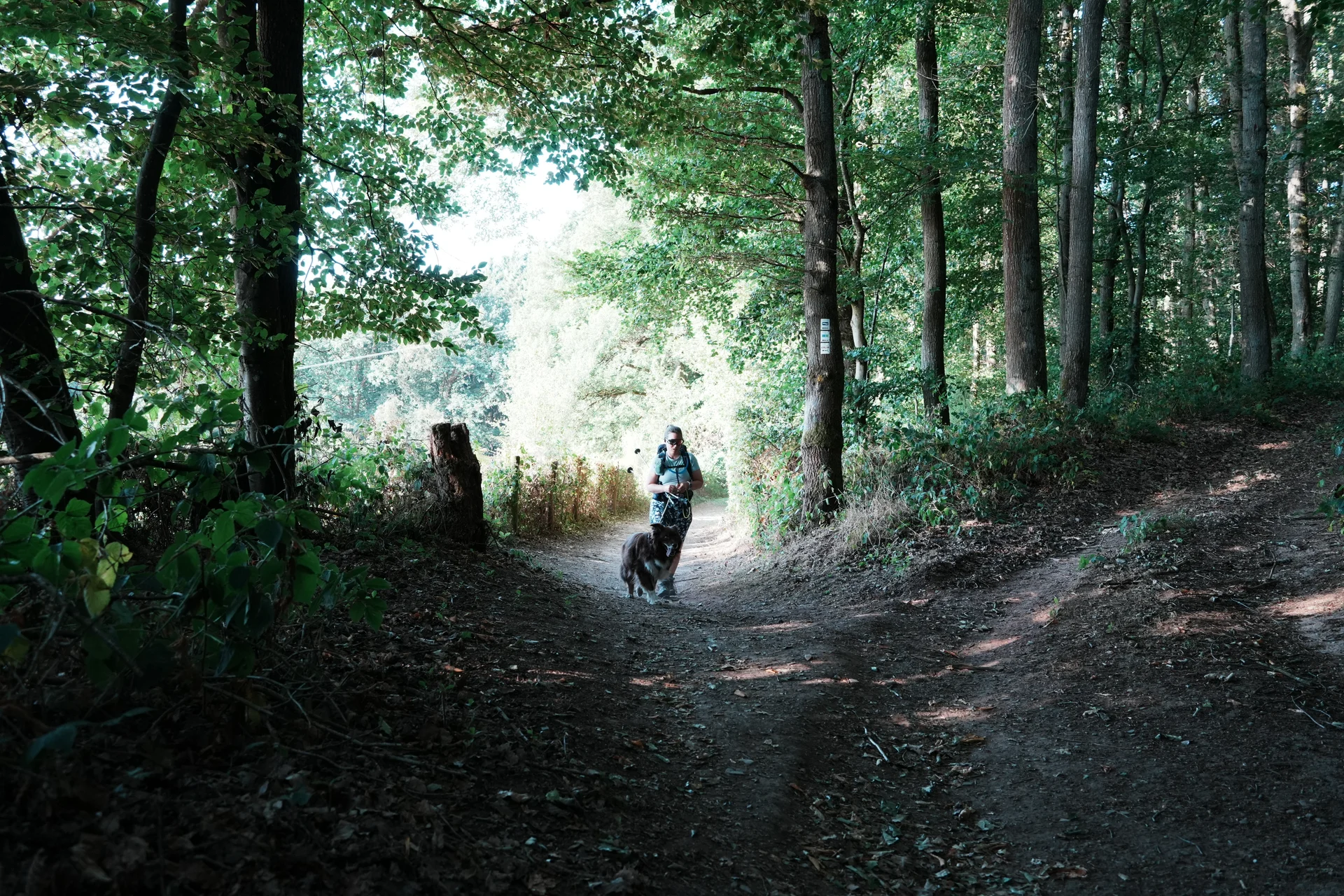 img3